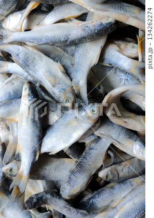 Fresh fish in the market Fresh fish in the market 134262274