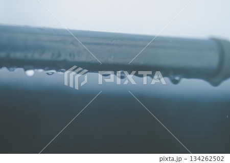rain 134262502