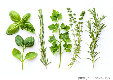 Set of herbal spices for cooking,medicines,tinctures,drinks on white 134262505