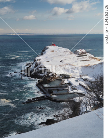 群来　高島岬 134262526
