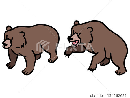 かわいい熊のセット。ヒグマ。アイソメトリック図。 かわいい熊のセット。ヒグマ。アイソメトリック図。 134262621