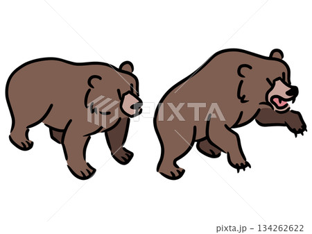 かわいい熊のセット。ヒグマ。アイソメトリック図。 134262622