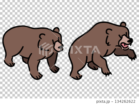 かわいい熊のセット。ヒグマ。アイソメトリック図。 134262622