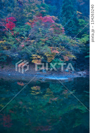 岡山の紅葉 134263240