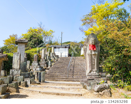 【奈良県】大和郡山市 矢田寺(金剛山寺) (2025/04/09撮影) 134263298