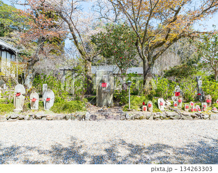 【奈良県】大和郡山市 矢田寺(金剛山寺) (2025/04/09撮影) 【奈良県】大和郡山市 矢田寺(金剛山寺) (2025/04/09撮影) 134263303