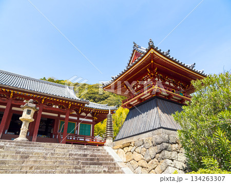 【奈良県】大和郡山市 矢田寺(金剛山寺) (2025/04/09撮影) 134263307