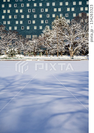 菖蒲池雪景色（中島公園）_9616 134263323