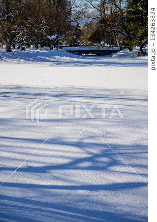 菖蒲池雪景色(中島公園)_3206 菖蒲池雪景色(中島公園)_3206 134263324