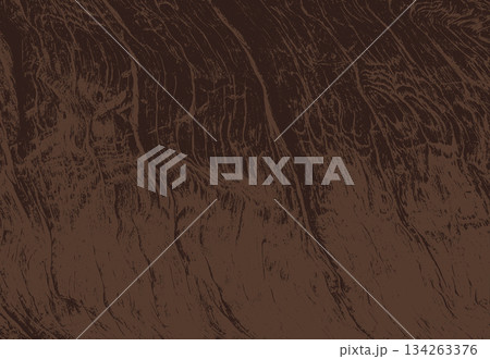 Wood cross section 134263376