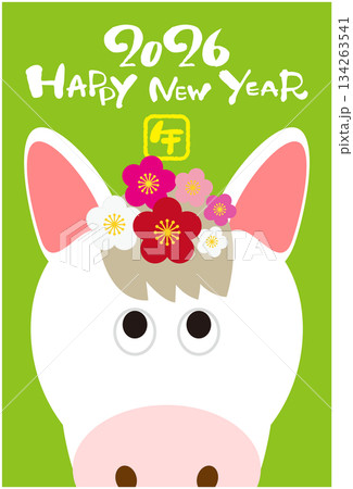 2026年 午年のかわいい馬の年賀状イラスト ハッピーニューイヤー 134263541