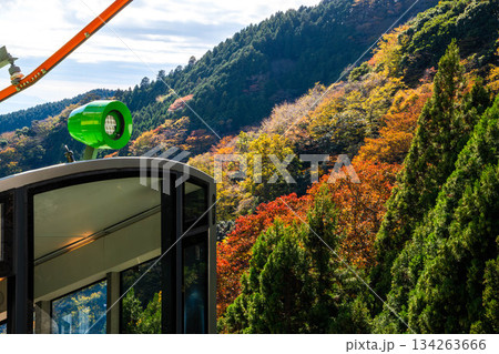 大山のケーブルカー 大山のケーブルカー 134263666