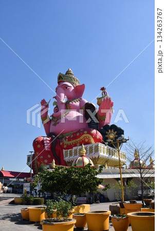 ピンクガネーシャ タイ ピンクガネーシャ タイ 134263767