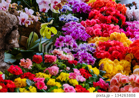 ドライブ途中の道の駅で見つけた立春の頃の色鮮やかな光景 ドライブ途中の道の駅で見つけた立春の頃の色鮮やかな光景 134263808