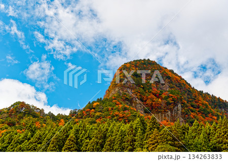 紅葉の鎧岳 134263833