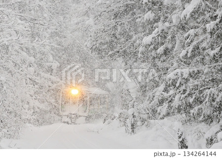 猛吹雪の只見線 134264144