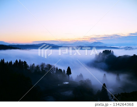 山古志棚田雲海朝焼け・越後三山夜明け 134264368