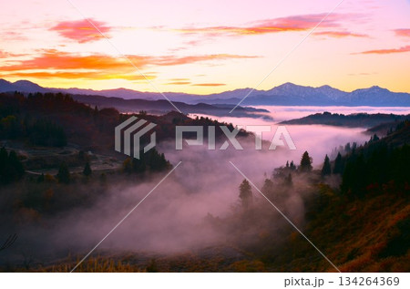 山古志棚田雲海朝焼け・越後三山夜明け 134264369