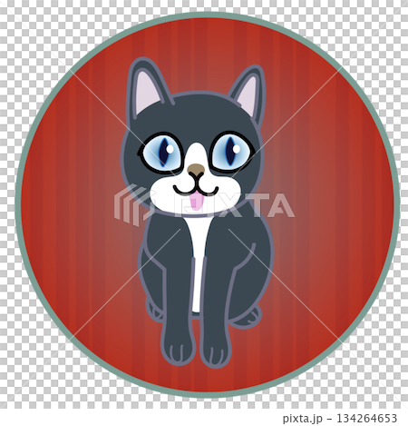円形背景のついた座る子猫のイラスト 円形背景のついた座る子猫のイラスト 134264653