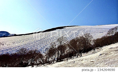 山形県にある春の月山スキー場 134264690