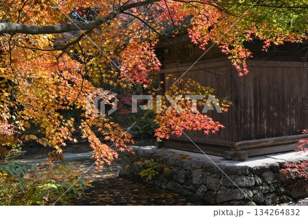 長寿寺 長寿寺 134264832