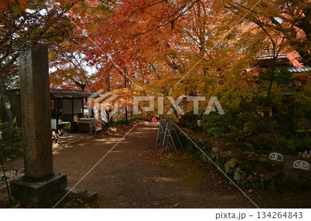 長寿寺 長寿寺 134264843
