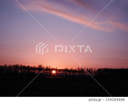 北海道の防風林に沈む夕陽 北海道の防風林に沈む夕陽 134264896