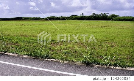 沖縄県の収穫を終えた畑 134265084