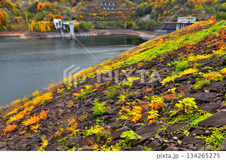 荒川ダム(山梨県甲府市)【2025.11】 134265275