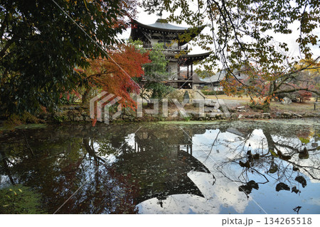 秋の勧修寺 観音堂と氷室池(京都市山科区) 秋の勧修寺 観音堂と氷室池(京都市山科区) 134265518