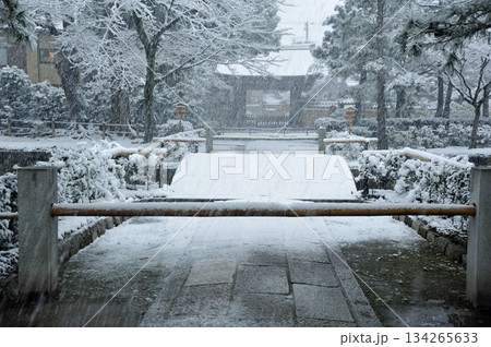 京都 雪の建仁寺 京都 雪の建仁寺 134265633