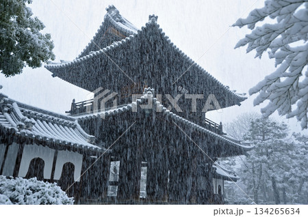 京都　建仁寺の冬　三門 134265634