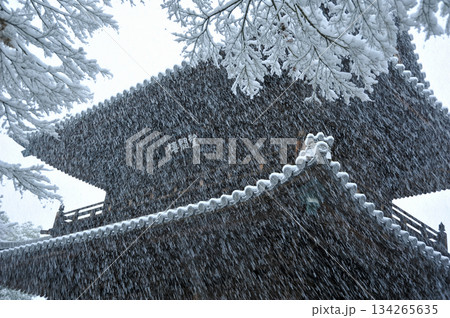 京都　建仁寺の冬　三門 134265635