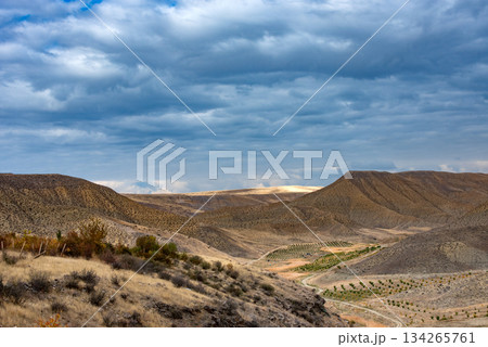 A desolate desert landscape with a cloudy sky 134265761