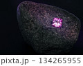 A small pink diamond is sitting on a large rock 134265955