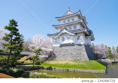 春の忍城・御三階櫓 134266719