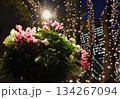 幻想的な夜の花とイルミネーション　ロマンチックな雰囲気の風景 134267094