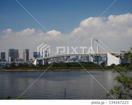 レインボーブリッジのみえる風景 134267223