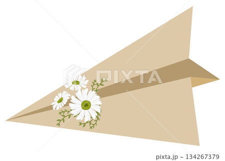 Paper Airplane with Daisy Flowers, valentine element Paper Airplane with Daisy Flowers, valentine element 134267379