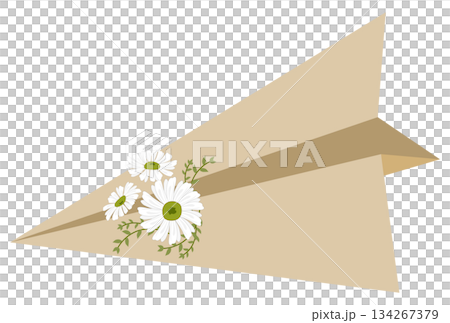 Paper Airplane with Daisy Flowers, valentine element Paper Airplane with Daisy Flowers, valentine element 134267379