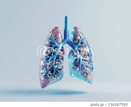 公的医療をイメージした人体ネットワーク背景 134267593