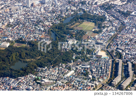 東京都練馬区の石神井公園付近を空撮 134267806