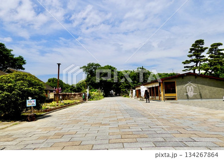南海電車住吉大社駅側から住吉公園の汐かけ横丁を見た風景 134267864