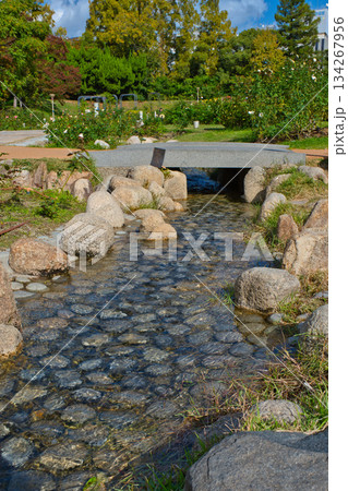 靭公園人口川 134267956