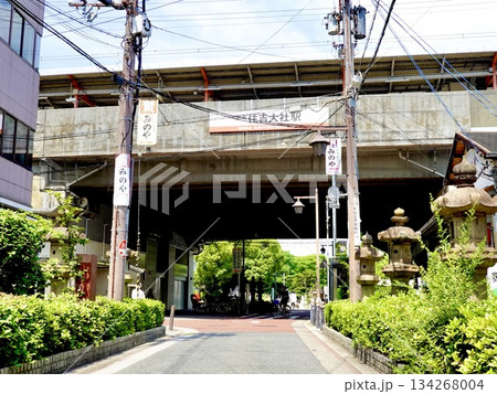 南海電車住吉大社駅高架下越しに住吉公園方面を見た風景　大阪市住吉区 134268004