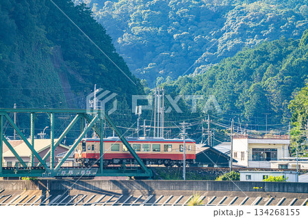 浜松市の天竜浜名湖鉄道の線路(静岡県) 134268155