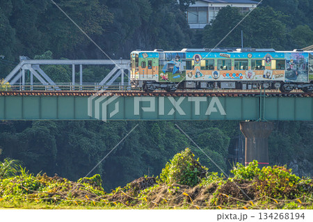 浜松市の天竜浜名湖鉄道の線路(静岡県) 浜松市の天竜浜名湖鉄道の線路(静岡県) 134268194