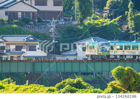 浜松市の天竜浜名湖鉄道の線路(静岡県) 浜松市の天竜浜名湖鉄道の線路(静岡県) 134268196
