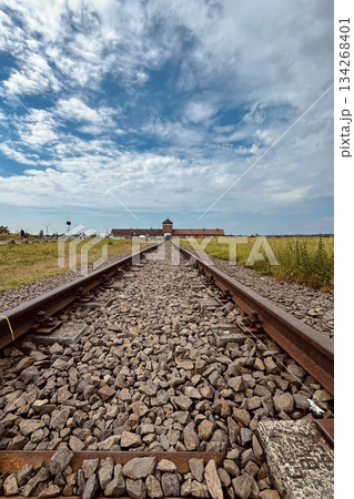 アウシュヴィッツ・ビルケナウ第二強制収容所の正面入り口へ続く鉄道の引き込み線 134268401