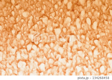 道の駅おがわまち　伝統工芸施設 134268458